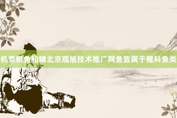 机票鲢鱼和鳙北京观旭技术推广网鱼皆属于鲤科鱼类
